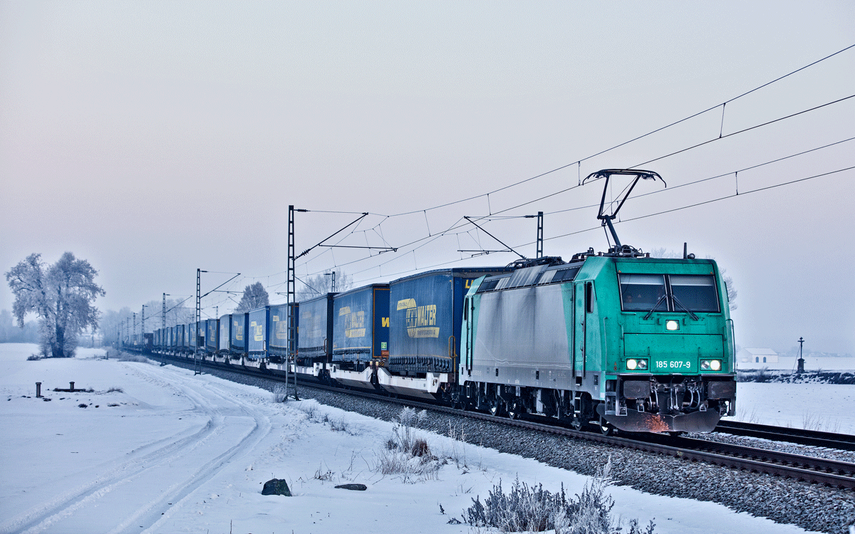 Die 185 607-9 dürfte kurz vor Sonnenaufgang in Kontakt mit Wild gekommen sein,hier fährt sie mit einem LKW Walterzug in Langenisarhofen vorüber.Bild vom 20.1.2017
