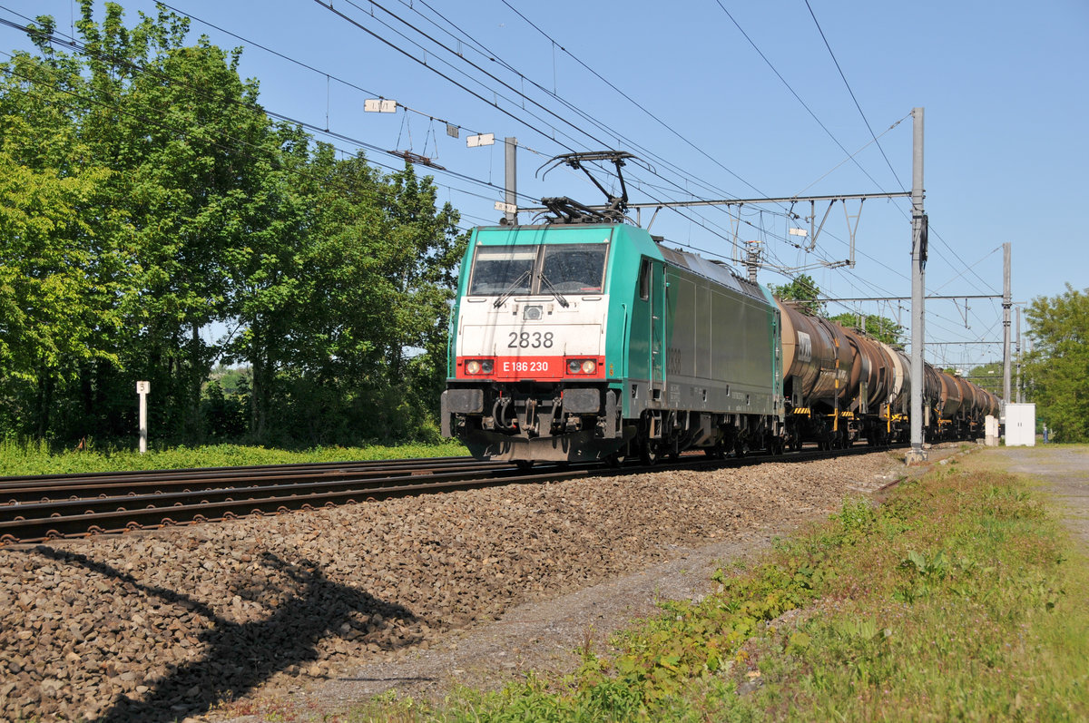 Die 186 230 alias 2838 zog am 06/05/2018 einen Kesselwagenzug durch Bassenge gen Hasselt.