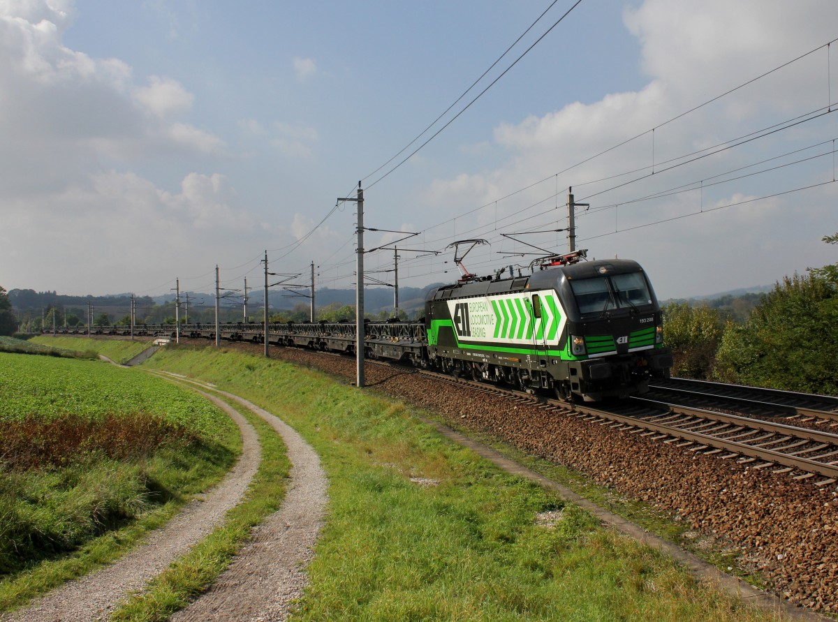 Die 193 208 mit einem Güterzug am 03.10.2014 unterwegs bei Haiding.