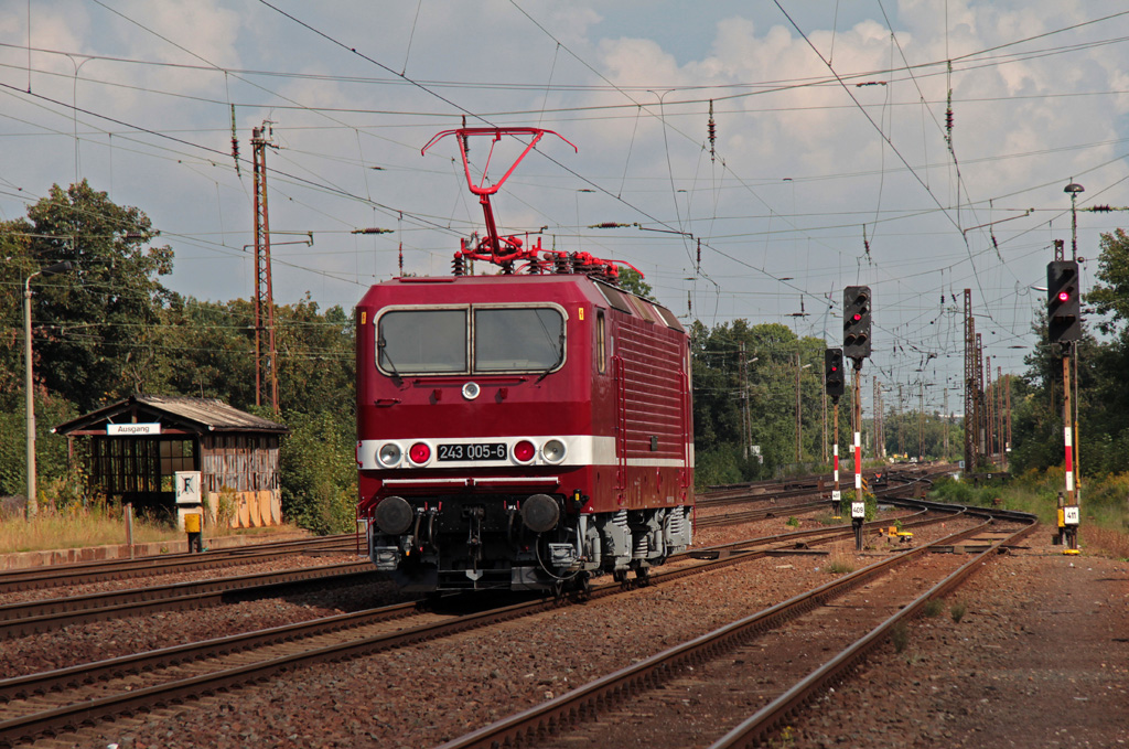 Die 2012 wieder ins DR-Farbschema versetzte Elektrolokomotive 243 005-6 am Nachmittag des 13.09.2013 in Leipzig-Wiederitzsch. 