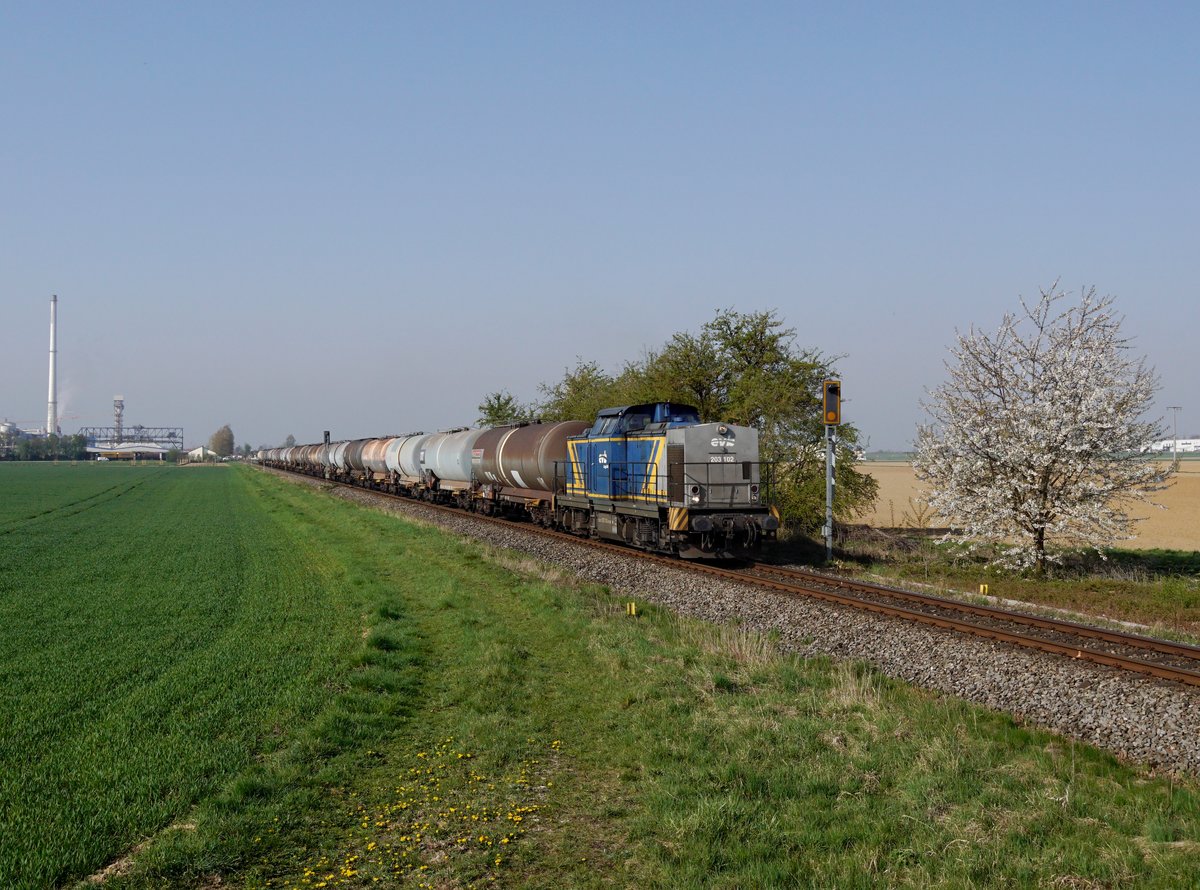 Die 203 102 mit einem Kesselzug am 15.04.2019 unterwegs bei Pankofen.