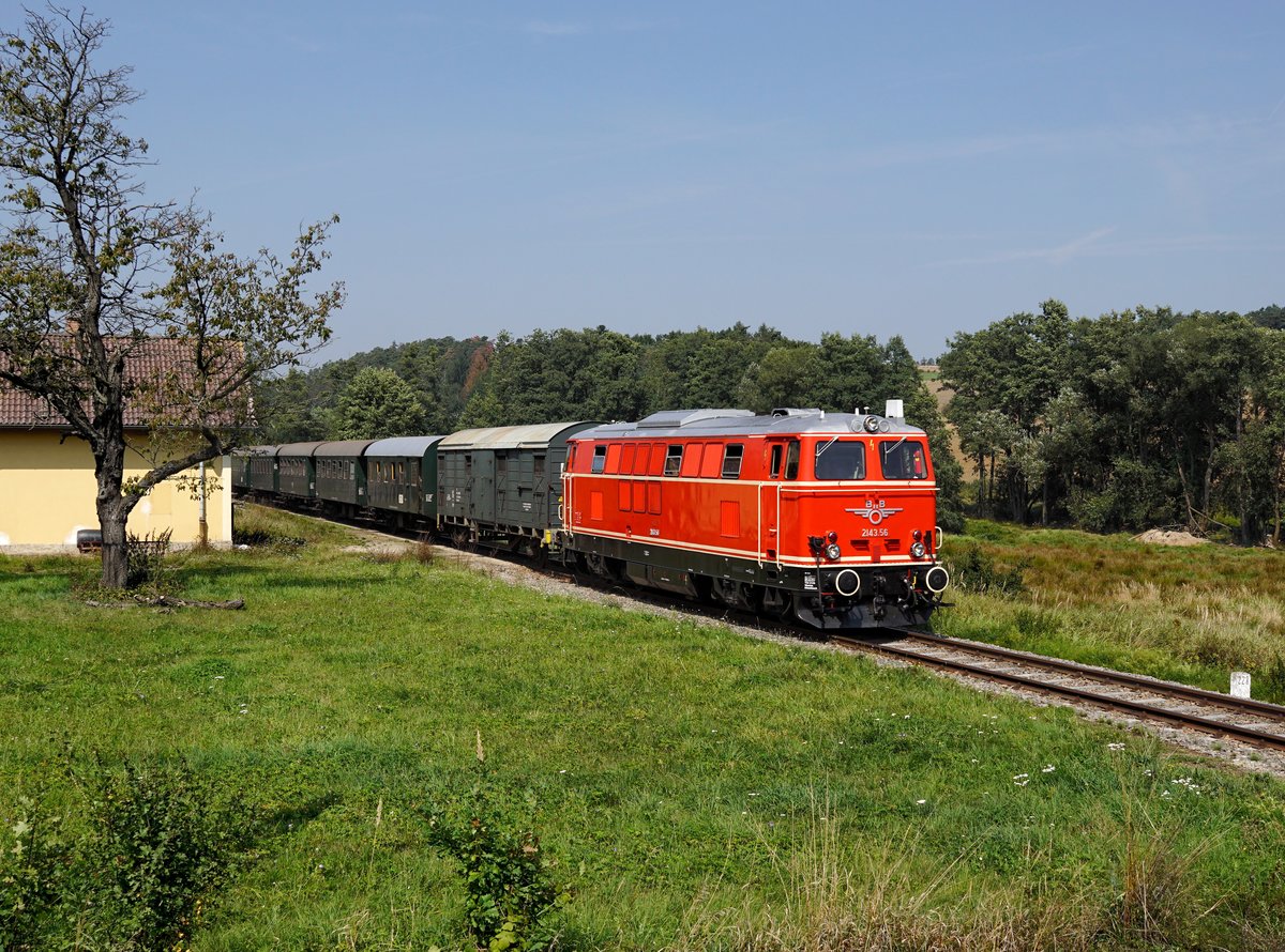 Die 2143 056 mit einem dem Reblaus Express nach Retz am 31.08.2019 unterwegs bei Hessendorf.