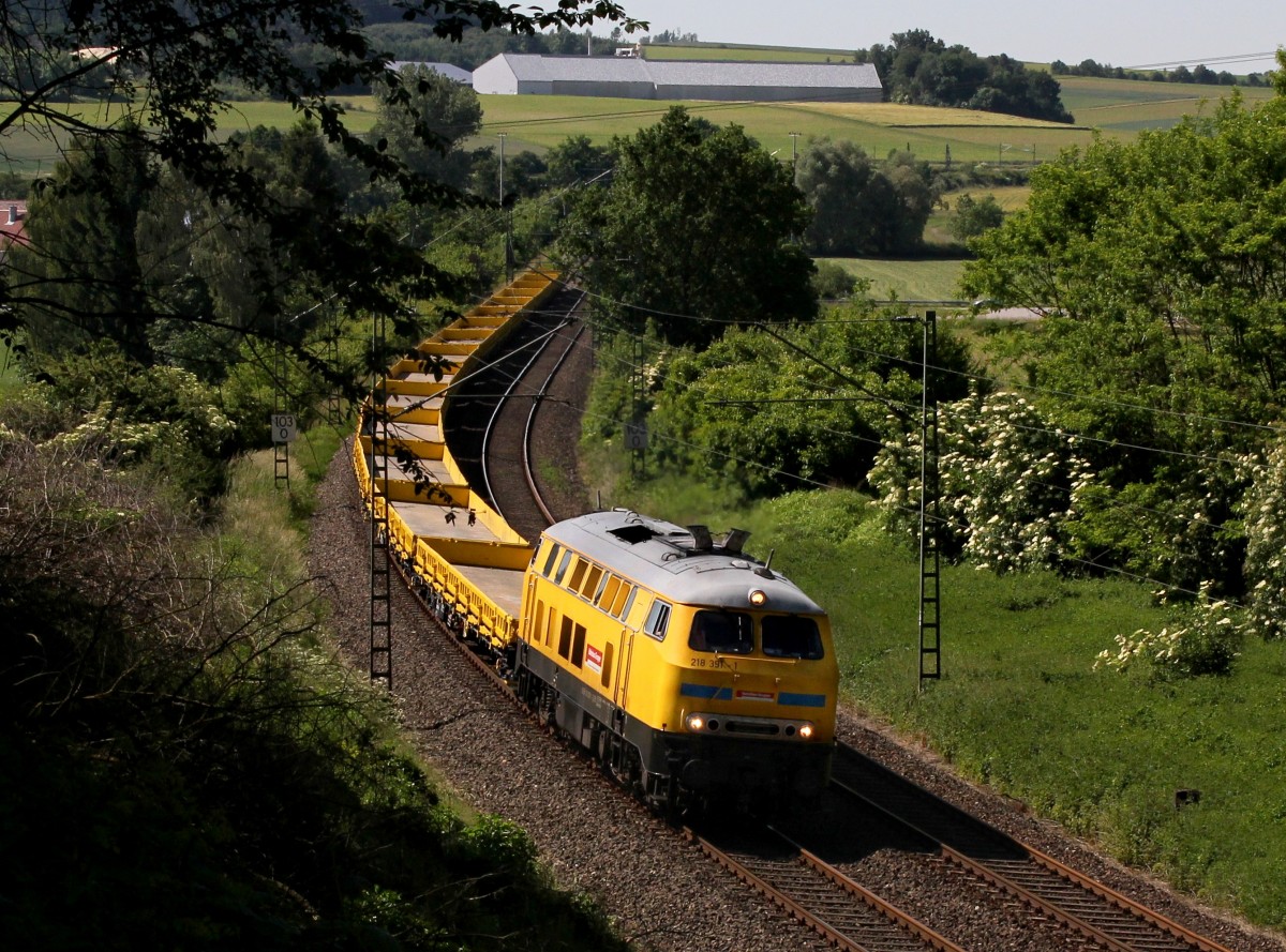 Die 218 391 mit einem Güterzug am 06.06.2014 unterwegs bei Neufahrn i. Niederbayern.