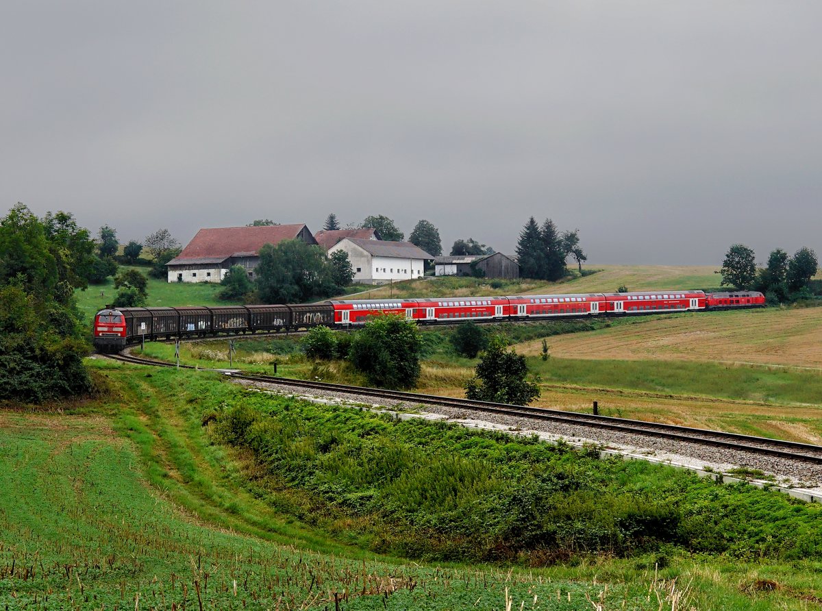 Die 218 430 mit dem BR Radlzug am 04.08.2019 unterwegs bei Fürstenzell.