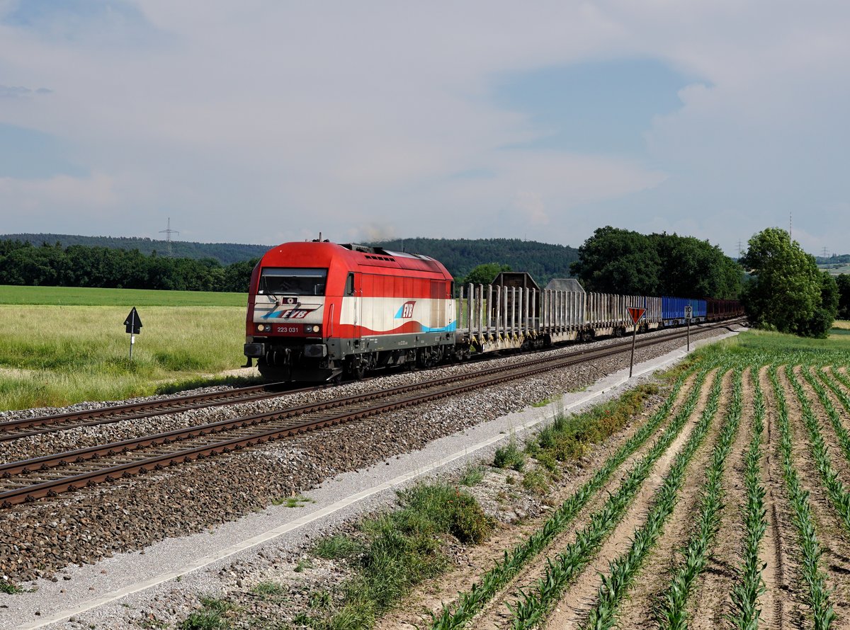 Die 223 031 mit einem Güterzug am 02.06.2017 unterwegs bei Zeitlarn.