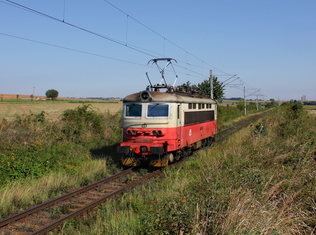 Die 242 259 am 28.08.2014 unterwegs bei Lužany.