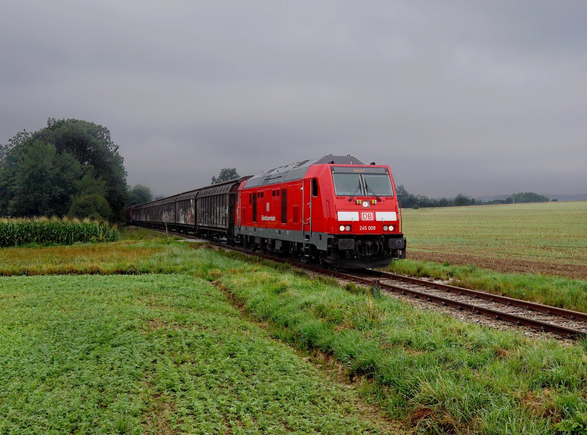 Die 245 009 mit dem BR Radlzug am 04.08.2019 unterwegs bei Fürstenzell.