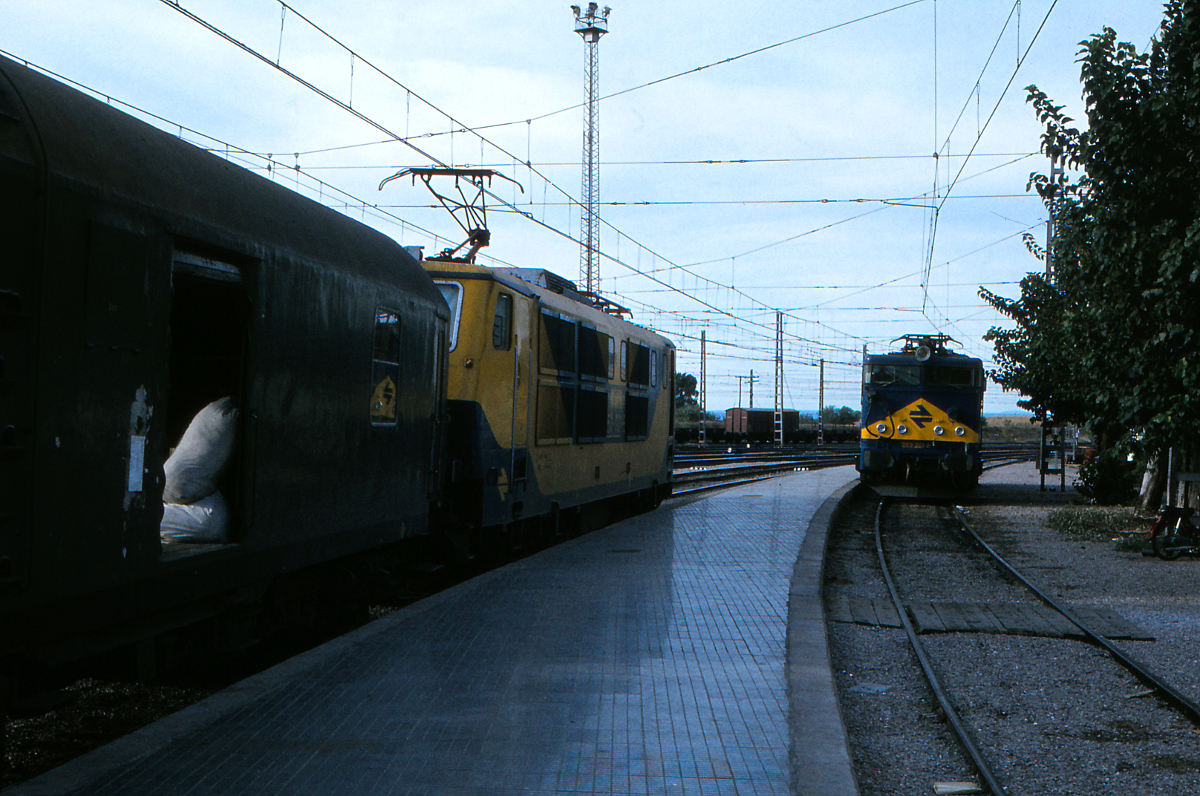 24cm x 18cm Foto Eisenbahn E-Lok BR 250 248-2 DR 