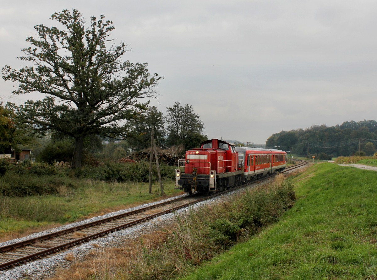 Die 294 768 mit einem 628 als RB nach M�hldorf am 06.10.2013 unterwegs bei Schwaibach.