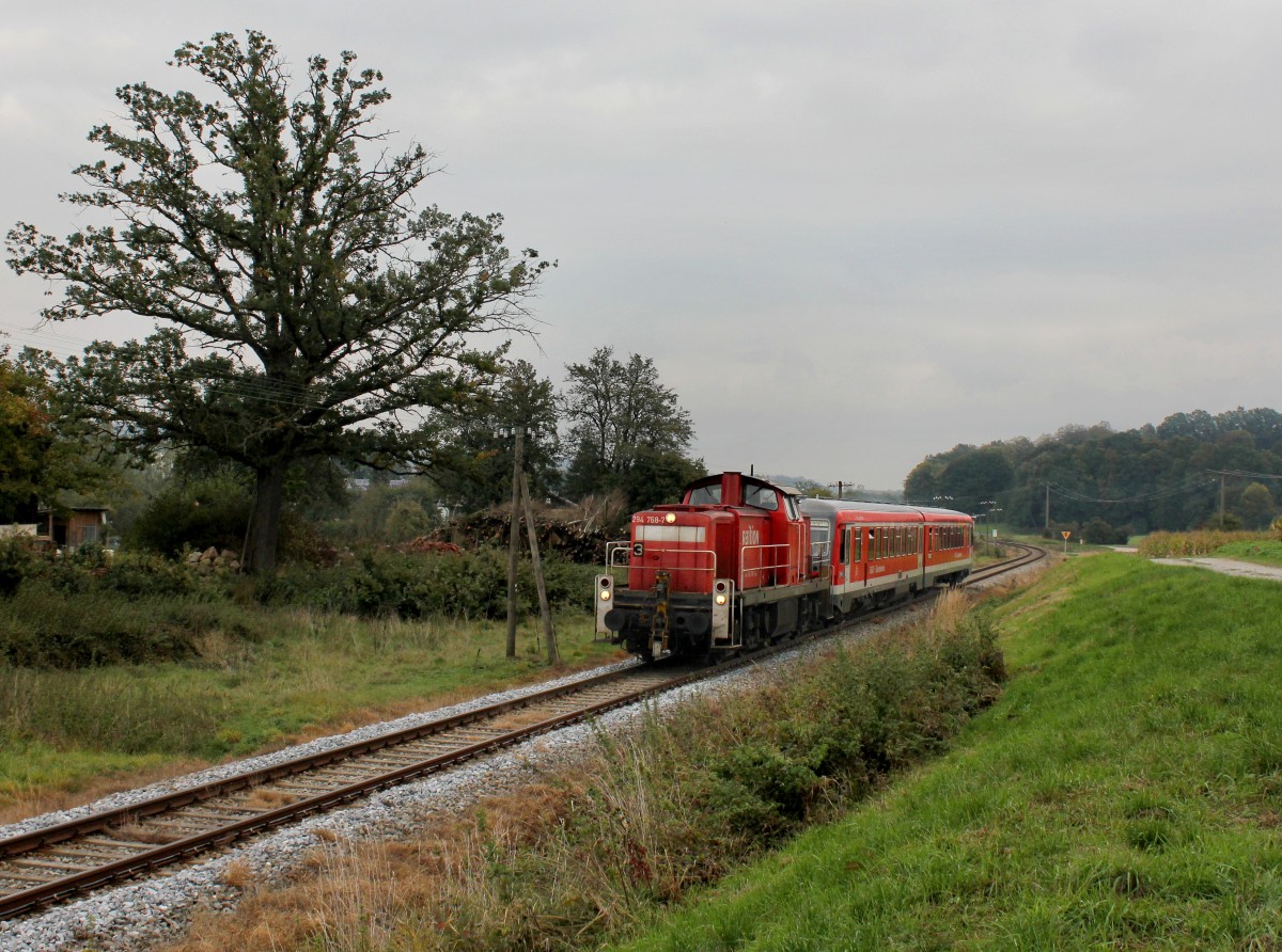 Die 294 768 mit einem 628 als RB nach Mhldorf am 06.10.2013 unterwegs bei Schwaibach.