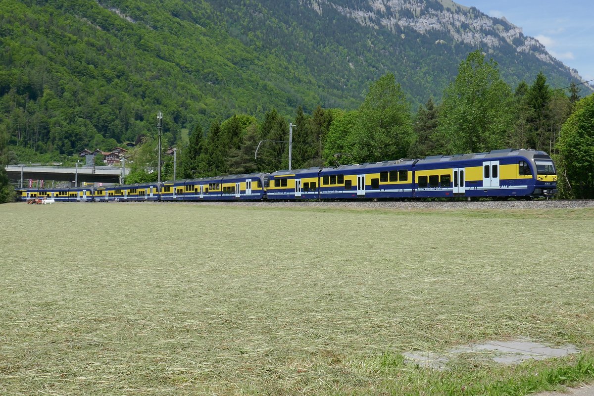 Die 4 ABDeh 8/8 nach der Ausfahrt in Interlaken Richtung Lauterbrunnen und Grindelwald am 25.5.17.