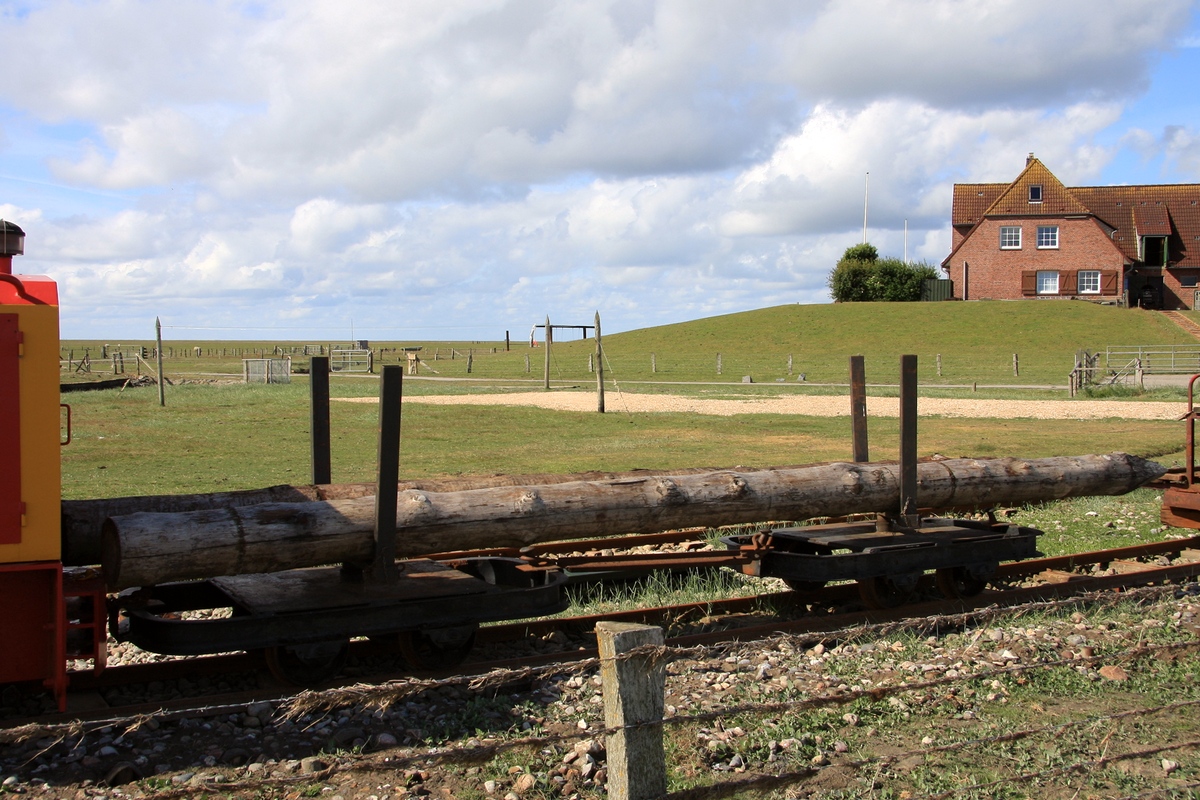 Die 600mm-Lorenbahn ist die Lebensader für Nordstrandischmoor auf der alles transportiert wird. Ihr eigentlicher Bestimmungszweck ist der Materialtransport für den Küstenschutz. Auf der Aufn. 2 Drehschemelwagen mit Dalben abgestellt unterhalb der Neuwarft am 17.06.2008.