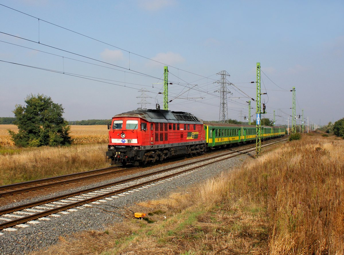 Die 651 002 mit einem D nach Keszthely am 01.10.2016 unterwegs bei Celldömölk.