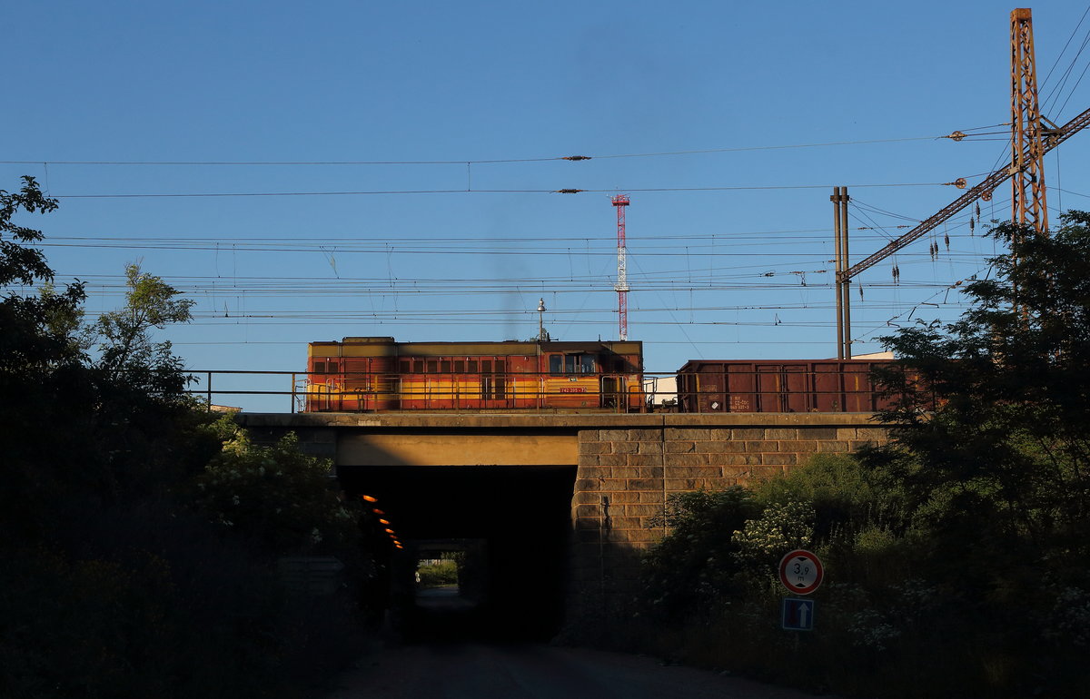 Die 742 395 steht im Güterbahnhof bei Litvonov und stellt neue Züge zusammen aufgenommen am 2.6.19 abends