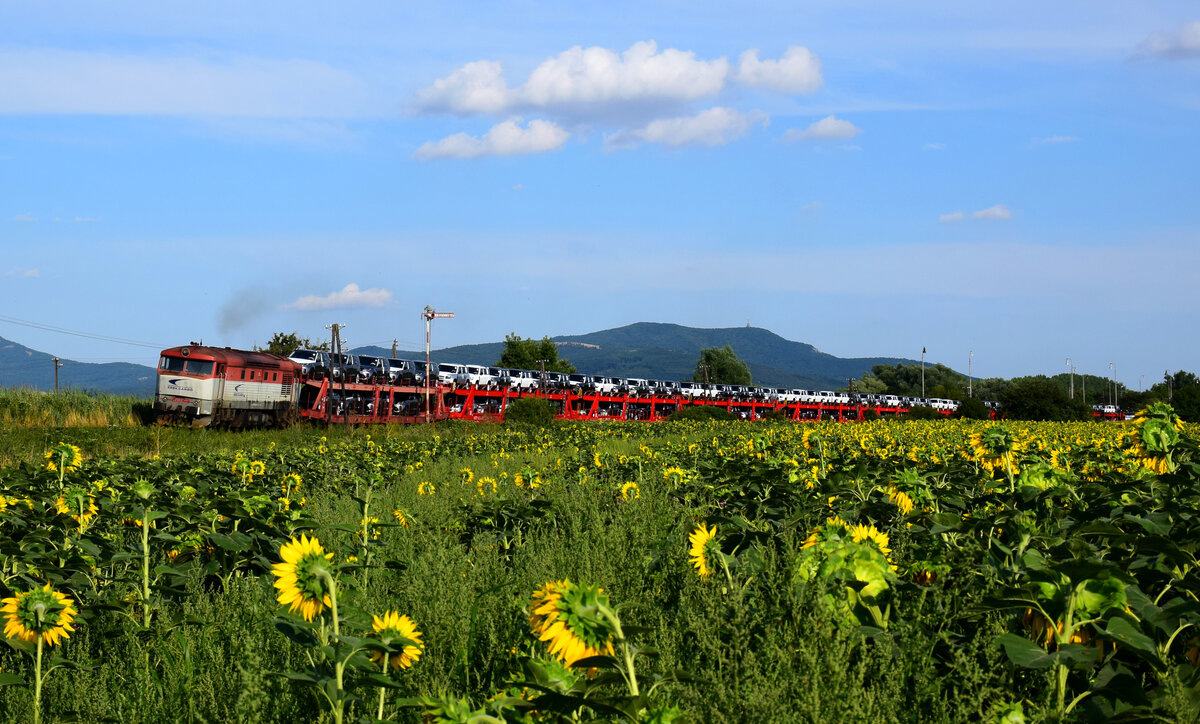 Die 751 118 mit dem Jaguar/Land Rover Zug von Luzianky nach Koper kurz nach Zbehy. Die Bardotka ist nur bis Leopoldov an der Spitze des Zuges.
31.07.2021.