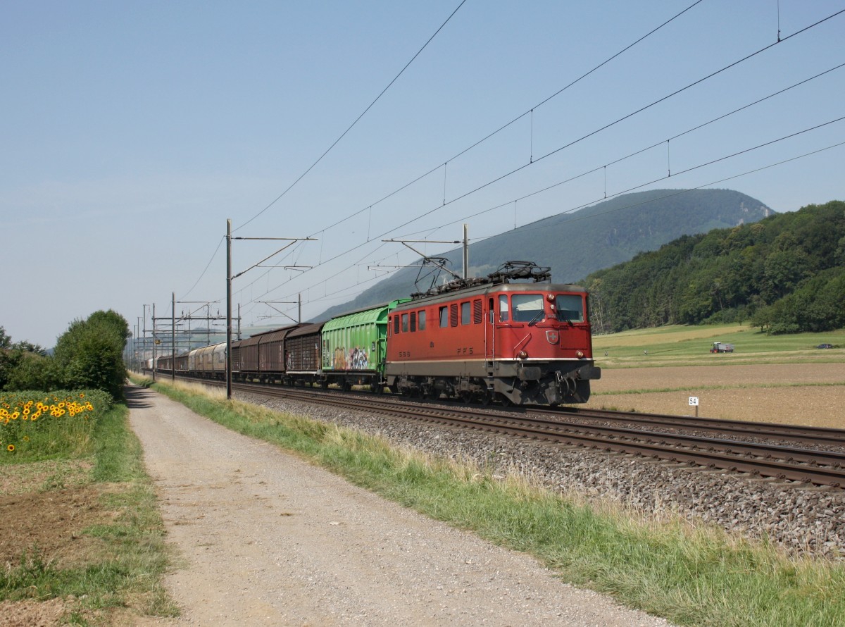 Die Ae 6/6 11470 mit einem Gterzug am 28.06.2011 unterwegs bei Oensingen.
