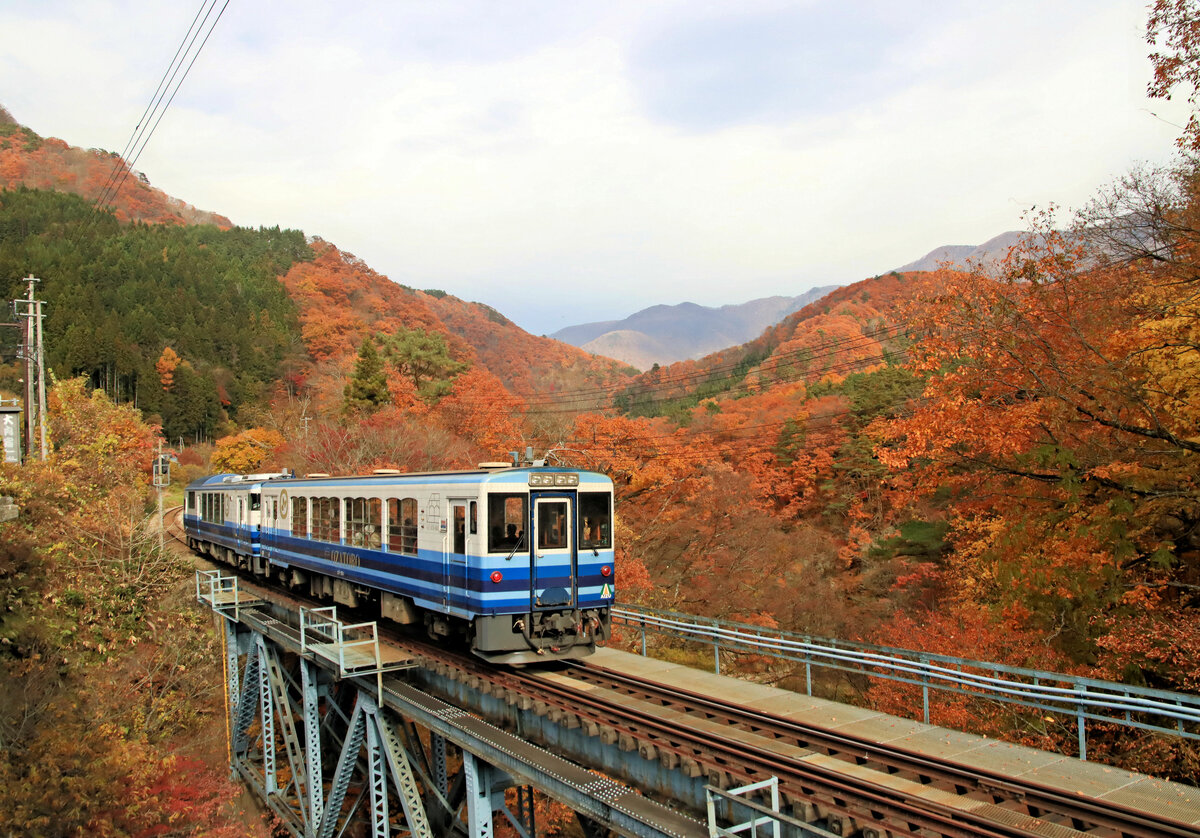 Die Aizu Privatbahn: Touristikzug AT 401 (ein ehemaliger JR Dieseltriebwagen, jetzt Salonwagen) + AT 351 (ehemaliger Aizu Bahn-Triebwagen, jetzt Wagen mit offenen Seitenwänden) im herbstlichen Laub unterhalb Yunokami Onsen. 13.November 2022 
