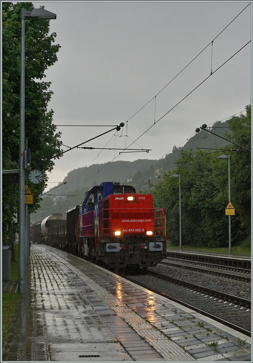 Die Am 843 092-8 ist mit einem Güterzug von Schaffhausen nach Singen unterwegs und hat Bietingen erreicht.
17. Juni 2016
