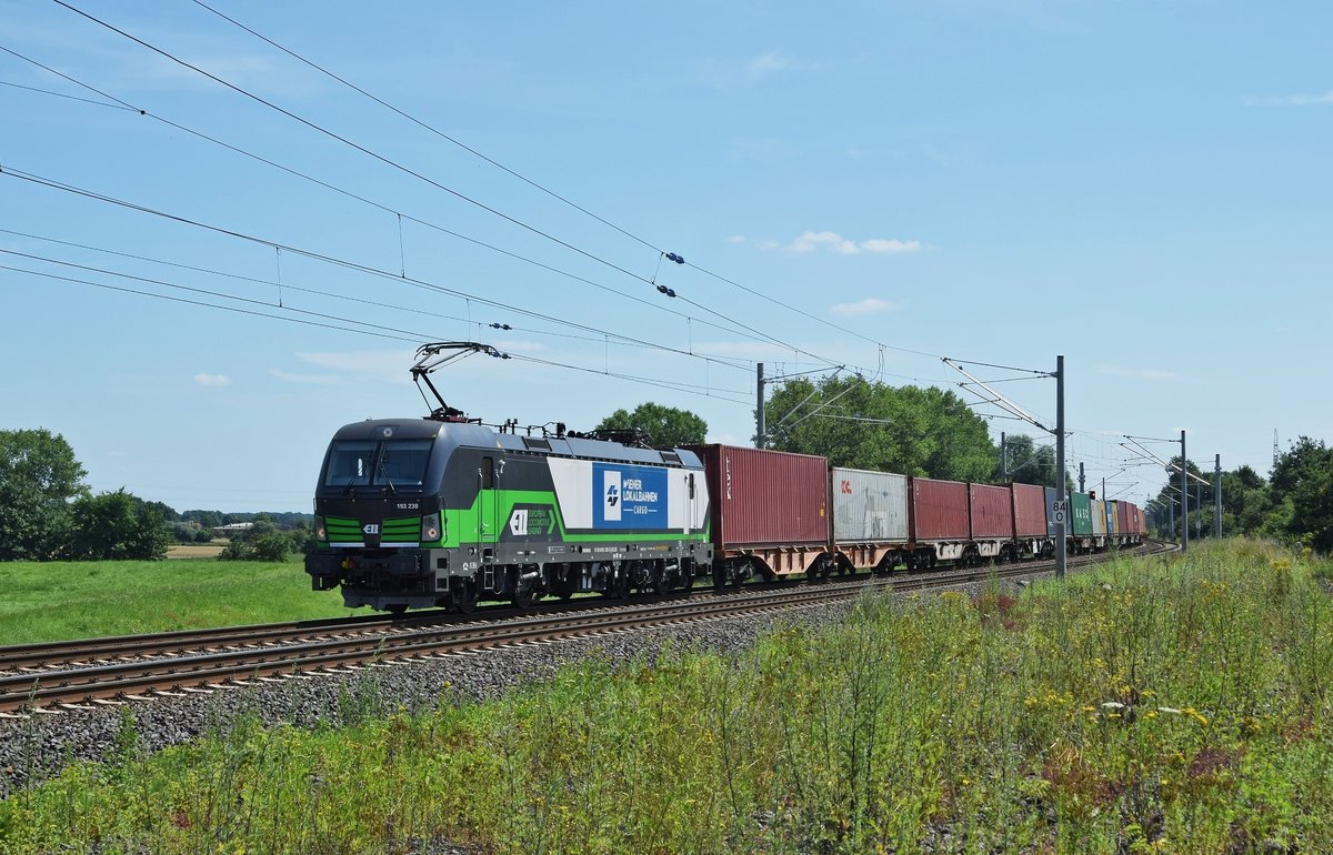 Die an WLC vermietete ELL 193 238 ist am 18.07.17 mit einem Containerzug bei Wahnebergen in Richtung Bremen unterwegs.