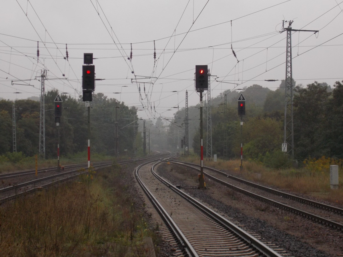 Die Ausfahrsignale in Fürstenberg/Havel,am 14.September 2014,Richtung Berlin.
