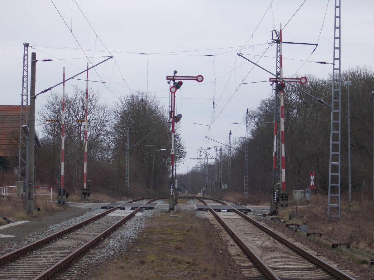 Die Ausfahrsignale von Lancken in Richtung Sassnitz am 07.März 2016.Hinter den Ausfahrsignale ist die letzte,mechanische Schranke von Rügen zuerkennen,die vom Fdl Lancken bedient wird.