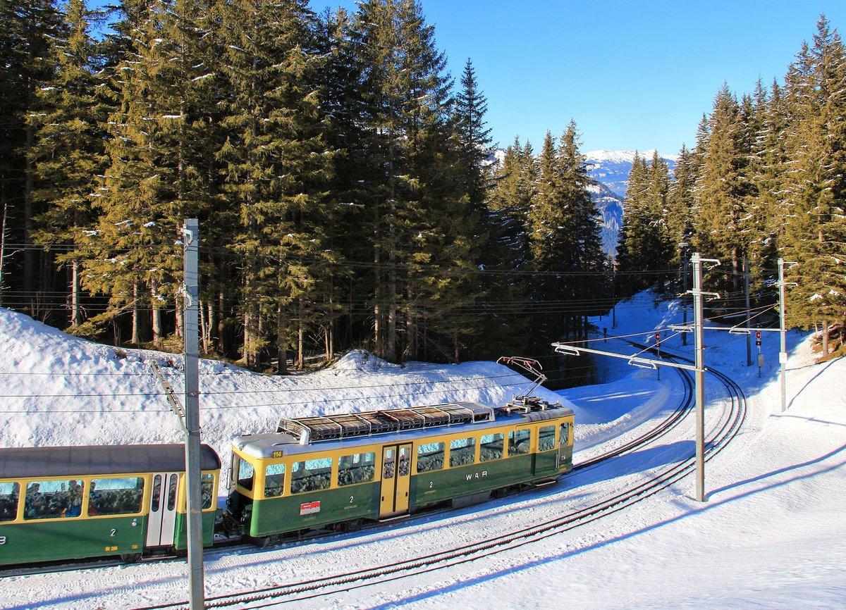 Die Ausweiche Bannwald wird kaum benutzt und hat im talseitigen Gleis noch die alte Riggenbach-Zahnstange. Hier steht Triebwagen 114 in dieser Ausweiche. Der Triebwagen hat seit seinem schweren Unfall (Lawine) im Jahre 1985 einen etwas anderen Wagenkasten mit Einholmstomabnehmer. 13.Januar 2018. 