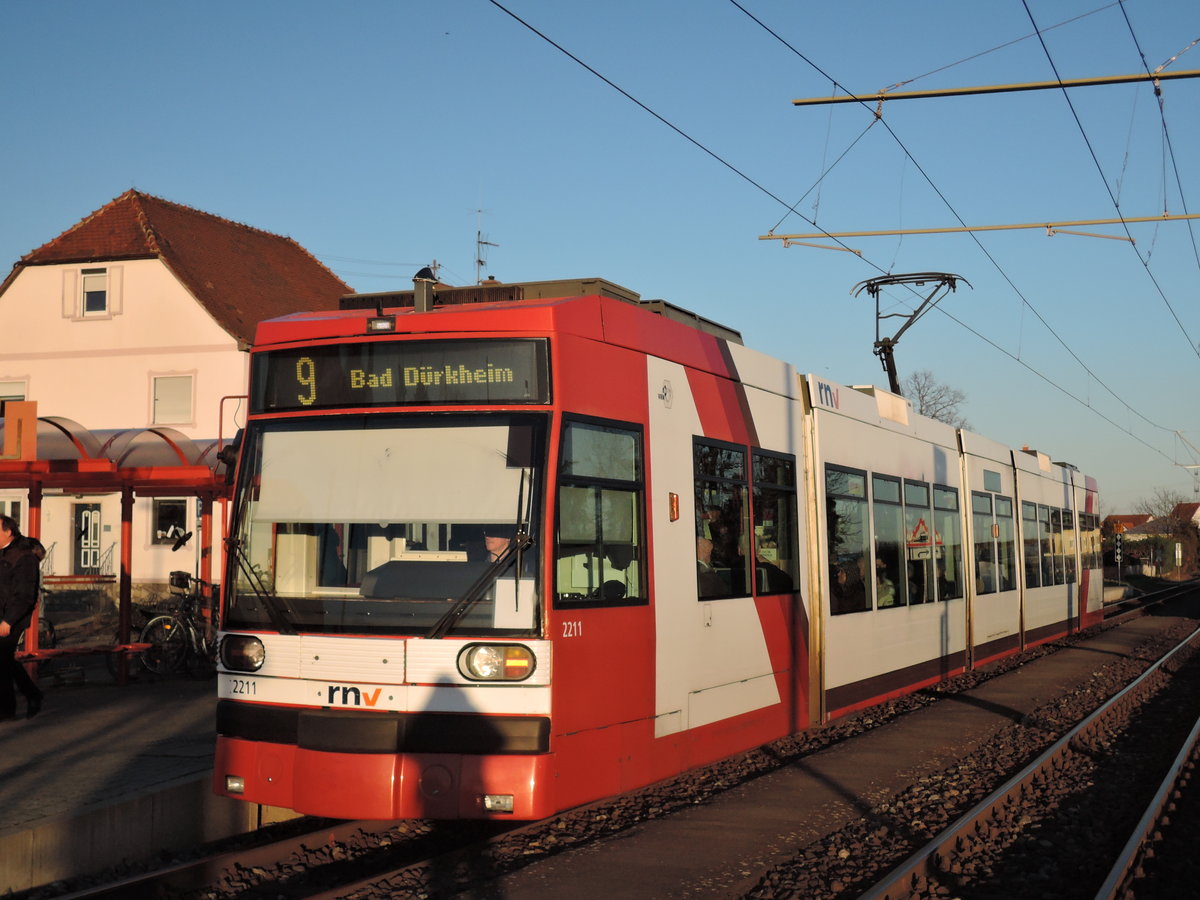 Die Bahn  2211  der RNV trägt immer noch die früheren Farben der  VBL . Hier am 05.02.2020 um 16:50 Uhr in Maxdorf an der RHB-Strecke nach Bad Dürkheim. 