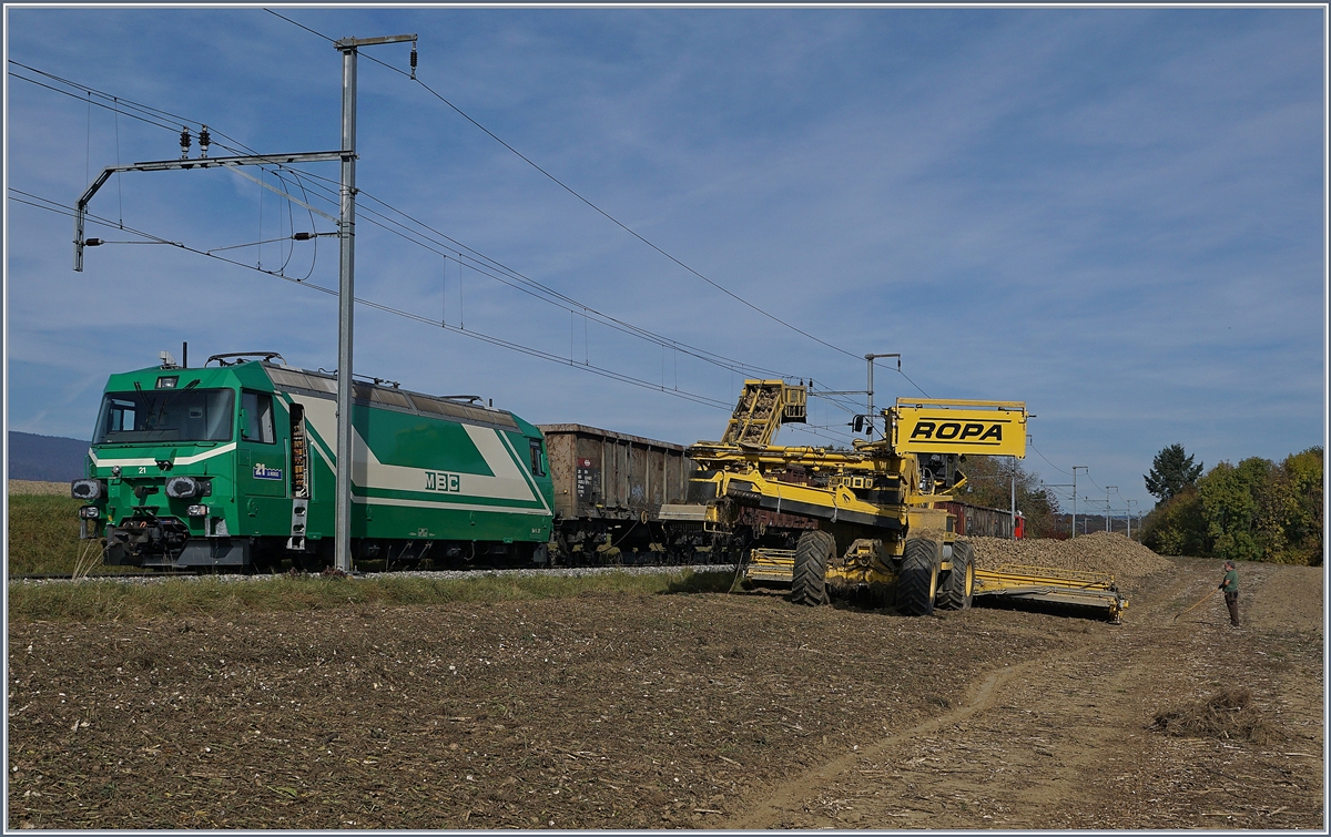 Die BAM Ge 4/4 21 hat die sieben zu Eaos zum Verladeort auf der Strecke bei Reverolle gebracht. Die Lok, dann die Fahrleitung wurden ausgeschaltet, letzte anschliessend geerdet.
Das Ungetüm von Maschine wird die Zuckerrüben vom Feld in die Wagen verladen, der am Schluss der Zuges mit geführen Tm 41 den Zug wenn nötig etwas verschieben. Der Verladevorgang für die sieben Wagen wird etwa eine Stunde dauern.  
17. Okt. 2017