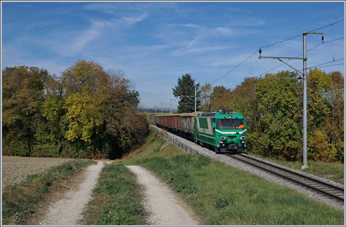 Die BAM MBC Ge 4/4 21 fuhr mit einem beladen Zucker-Rübenzug bei Reverolle Richtung Morges.
17. Sept. 2018