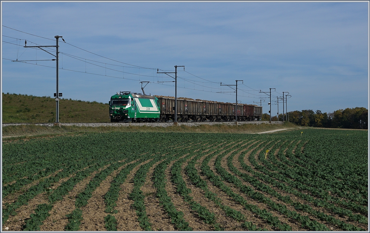 Die BAM MBC Ge 4/4 22 fuhr mit einem vollen Rübenzug zwischen Reverolle und Chardonney-Château talwärts. 17. Okt. 2017