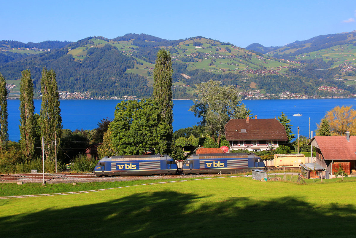 Die beiden BLS Re 465 (Nr. 003 und 013) mit der grossen Anschrift  BLS . Im Abstieg von Spiez nach Thun, 8.September 2018 