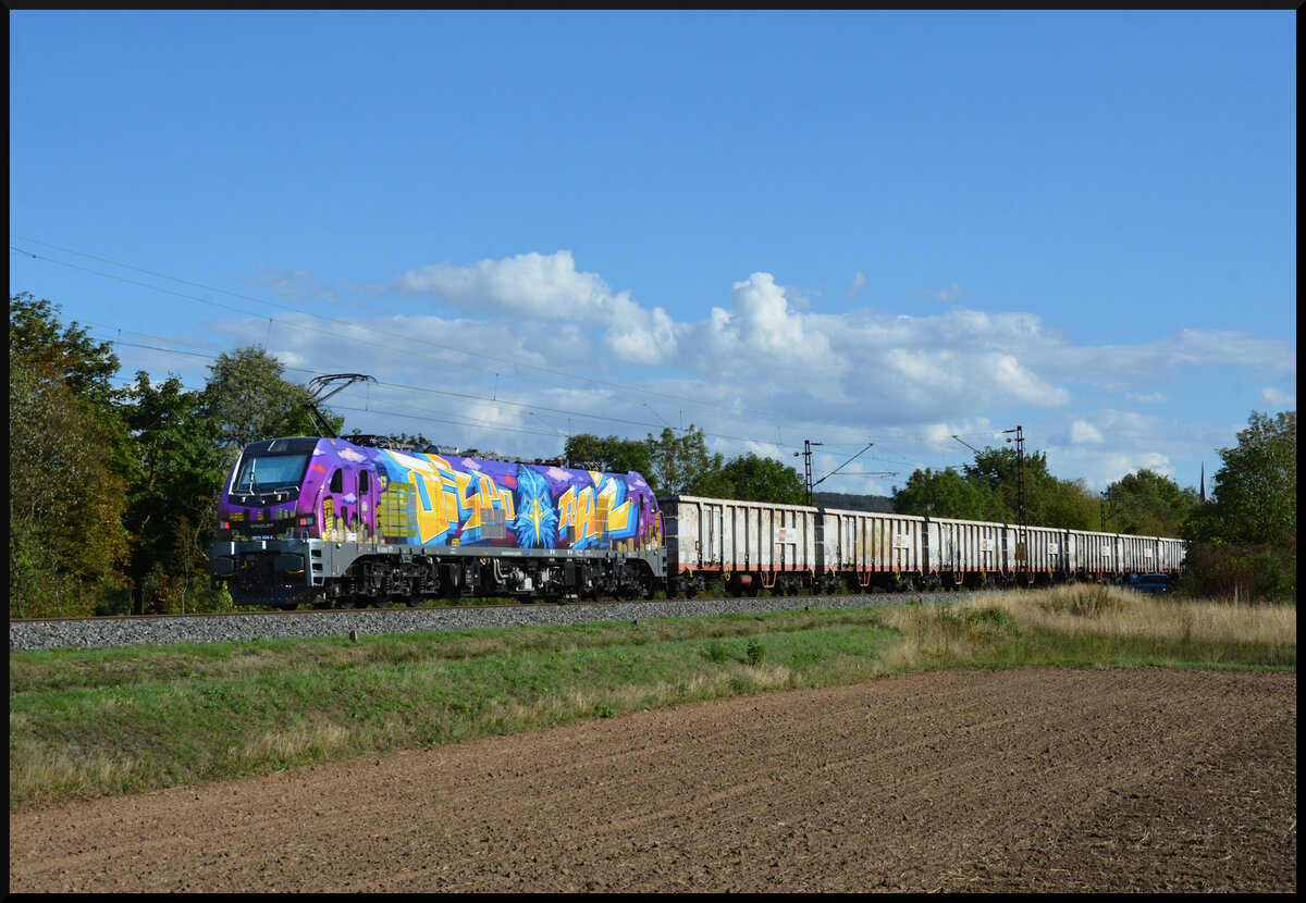 Die beiden EURO9000, ELP 2019 317-7  DISPO TF RAIL  (gelb) & ATLU 2019 404-3  DISPO RAIL  (violett), bef�rderten am 01.09.2026 einen langen Ganzzug E-Wagen (RailCargo Austria) bei Th�ngersheim durch das Maintal.