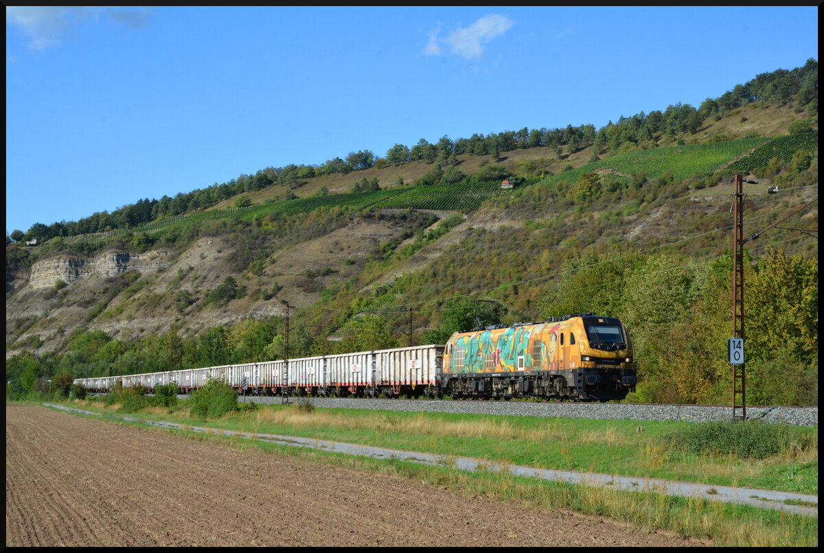 Die beiden EURO9000, ELP 2019 317-7  DISPO TF RAIL  (gelb) & ATLU 2019 404-3  DISPO RAIL  (violett), bef�rderten am 01.09.2026 einen langen Ganzzug E-Wagen (RailCargo Austria) bei Th�ngersheim durch das Maintal.