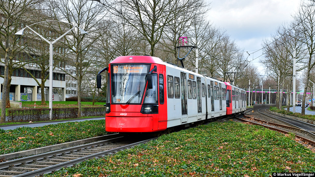 Die beiden HF6 5303 und 5307 als Linie 16 in Bonn an der Haltestelle Olof-Palme-Allee am 23.02.2024.