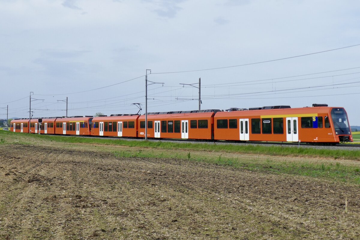 Die beiden NExT RABe 4/12 27 und 21 als RE5 unterwegs nach Bernnam 29.4.24 zwischen Jegenstorf und Urtenen.