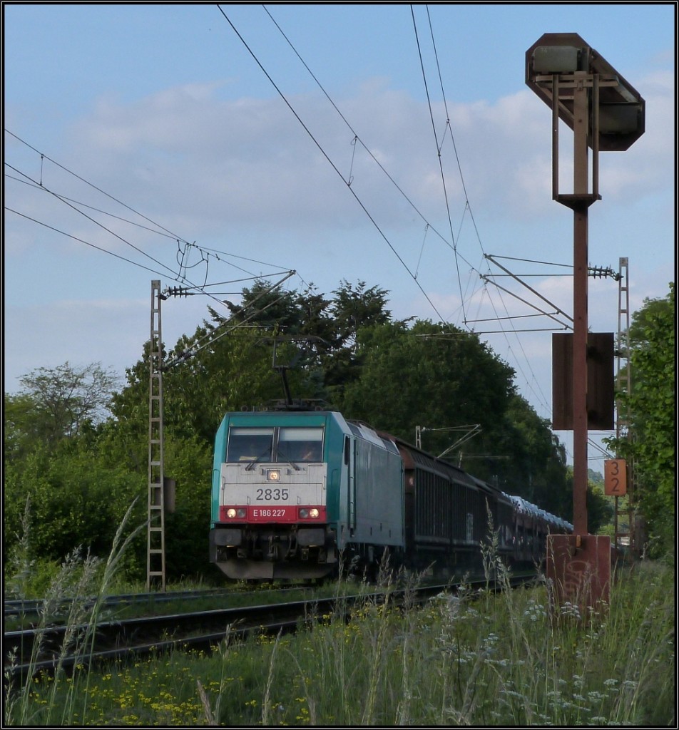 Die belgische Cobra 2835 kommt mit einen Autotransportzug die Gemmenicher Rampe hinauf auf der Montzenroute. Hier zu sehen am Friedrichweg unweit von Aachen Anfang Juni 2015.