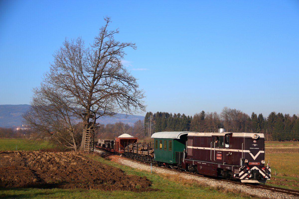 Die berühmte  Hochsitzstelle  mal von der anderesn Seite. L45H070 am 5.12.2015 bei Herbersdorf.