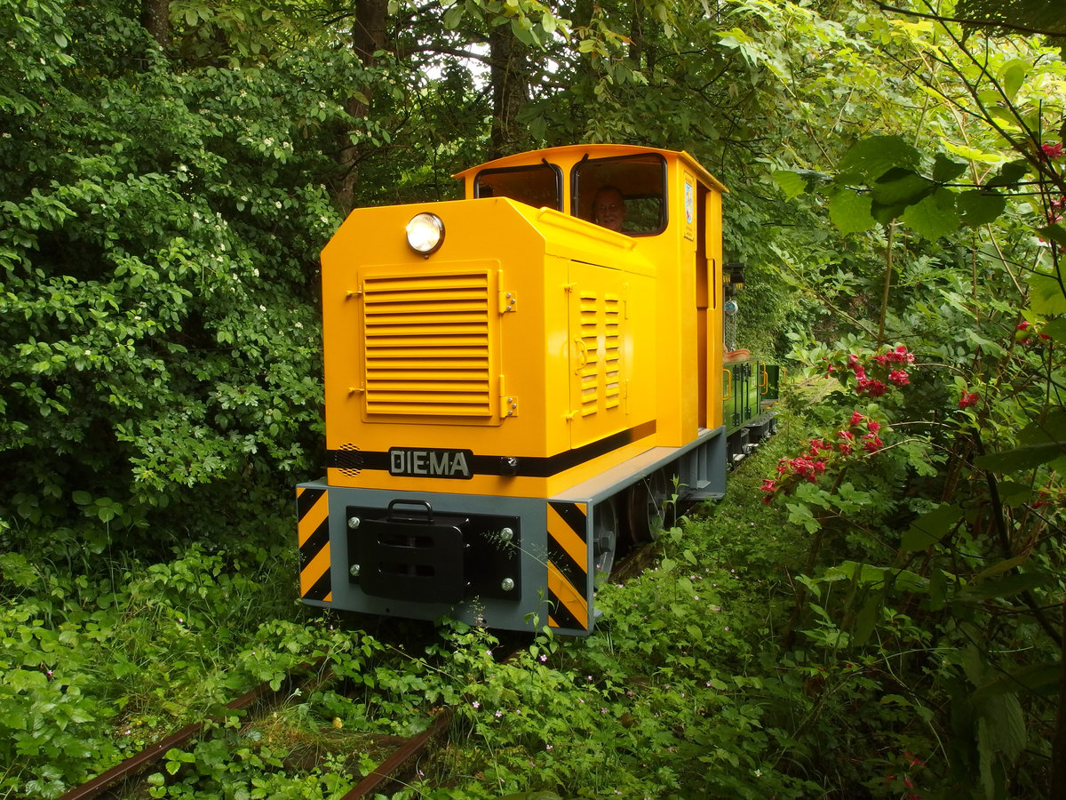 Die Bözenegg - Eriwis Bahn befindet sich nicht im tropischen Dschungel sondern sucht sich den Weg durch die nach einer Regenperiode reichlich spriessende Pflanzen und Blumenvielfalt in Schinznach Dorf.
Mehr zur Geschichte unter  www.bebrail.ch