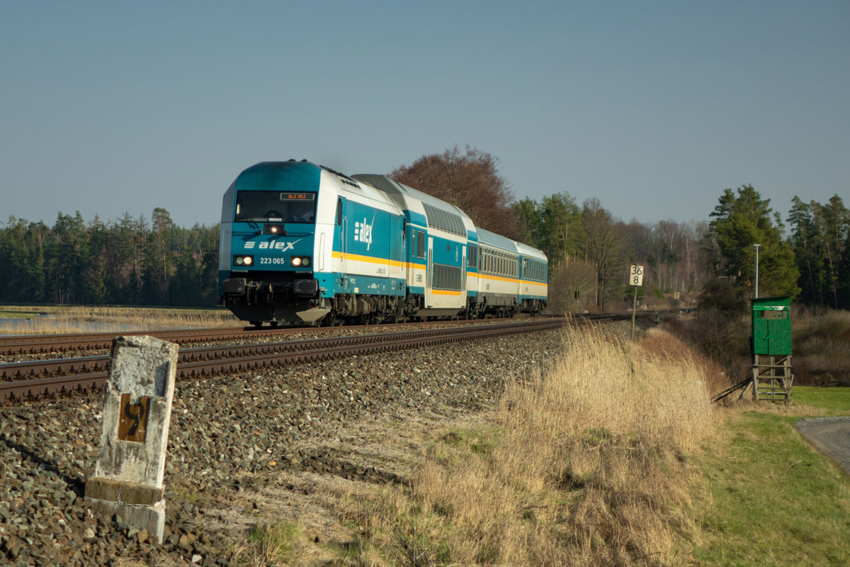 Die BR 223 065 am 21.02.2019 bei Oberteich Richtung Marktredwitz.