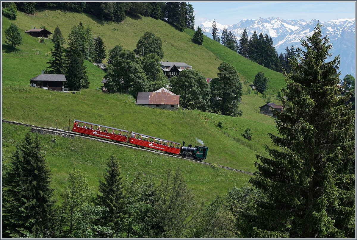 Die BRB H 2/3 N° 16 mit Zug 10 auf Talfahrt kurz nach Planalp.
7. Juli 2016