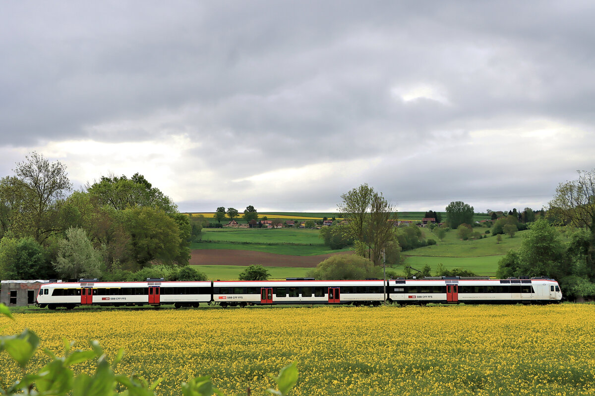 Die Broyetallinie: Diese ruhige Nebenlinie führt als West-Ost-Transversale durch das historisch bedeutsame Broyetal, als S9 des RER Vaud von Lausanne über Palézieux - Payerne - Murten nach Kerzers, und als Werktagsdienst von Palézieux nach Payerne. Eingesetzt werden ausschliesslich NPZ Domino-Züge, teils mit einem, teils mit zwei Zwischenwagen. Im Bild stösst Triebwagen 560 269 seinen Zug durch Henniez. 20.Mai 2021    