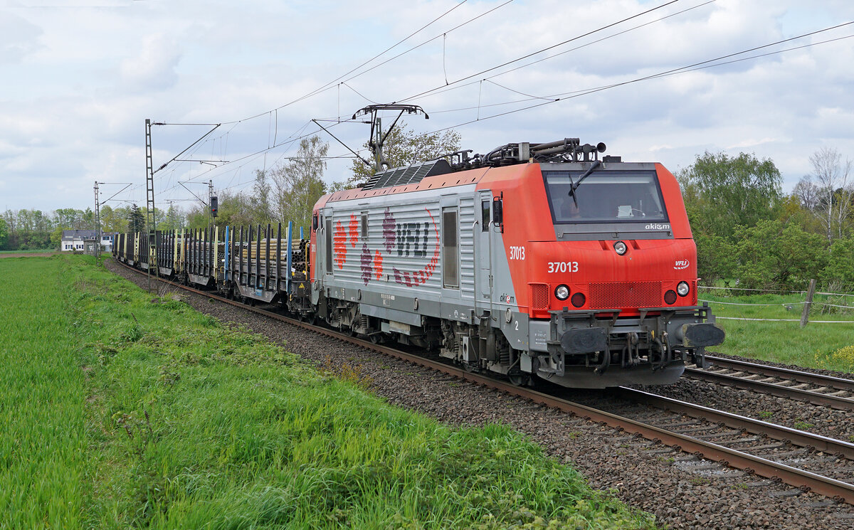 Die bunte VFLI Lokomotive 37013 am 26.04.2023 mit einem Güterzug in Kaarst.