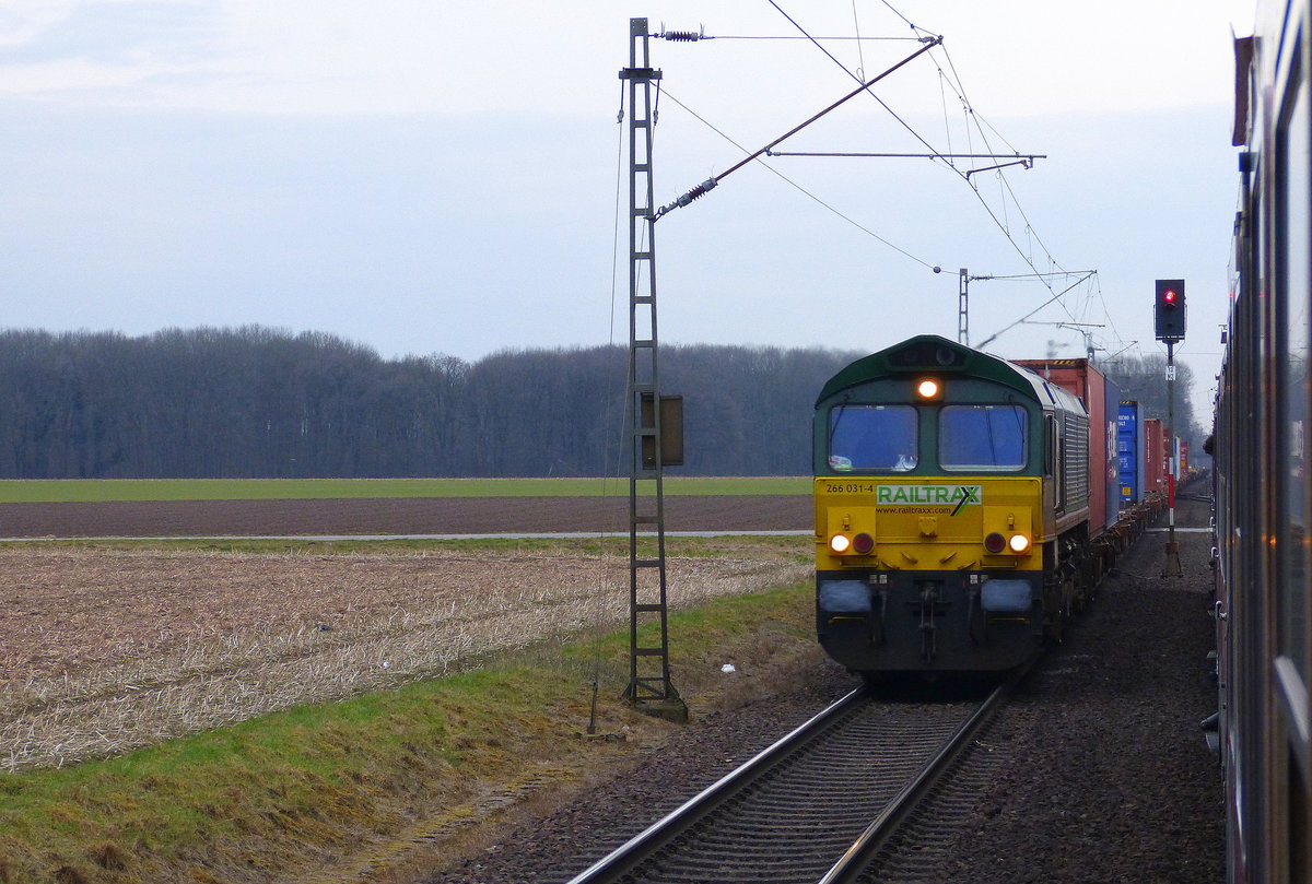Die Class 66 266 031-4 von Railtraxx kommt mit einem Containerzug aus Zeebrugge-Ramskapelle(B) nach Duisburg-Rheinhausen(D) und fährt in Richtung  Viersen.
Aufgenommen aus dem RE8 Verstärker. 
Aufgenommen Kurz vor Kaldenkirchen.
Am Abend vom 15.3.2018.