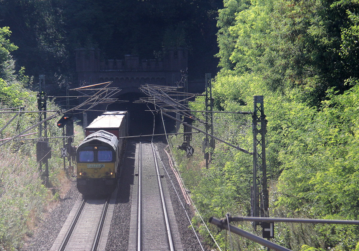 Die Class 66 266 031-4 von Railtraxx kommt aus dem Gemmenicher-Tunnel raus mit einem Containerzug aus Genk-Haven(B) nach Köln-Eifeltor(D)  und fährt nach Aachen-West und rollt die Gemmenicher-Rampe herunter nach Aachen-West. 
Aufgenommen in Reinartzkehl auf der Montzenroute. 
Bei Sommerwetter am Nachmittag vom 19.8.2018.