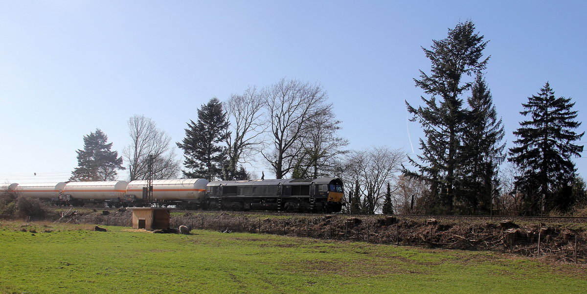 Die Class 66 653-10 von Crossrail kommt die Gemmenicher-Rampe herunter nach Aachen-West mit einem Güterzug aus Antwerpen-Waaslandhaven(B) nach Visp(CH).
Aufgenommen an der Montzenroute am Gemmenicher-Weg.
Bei schönem Frühlingswetter am Nachmittag vom 24.3.2019.