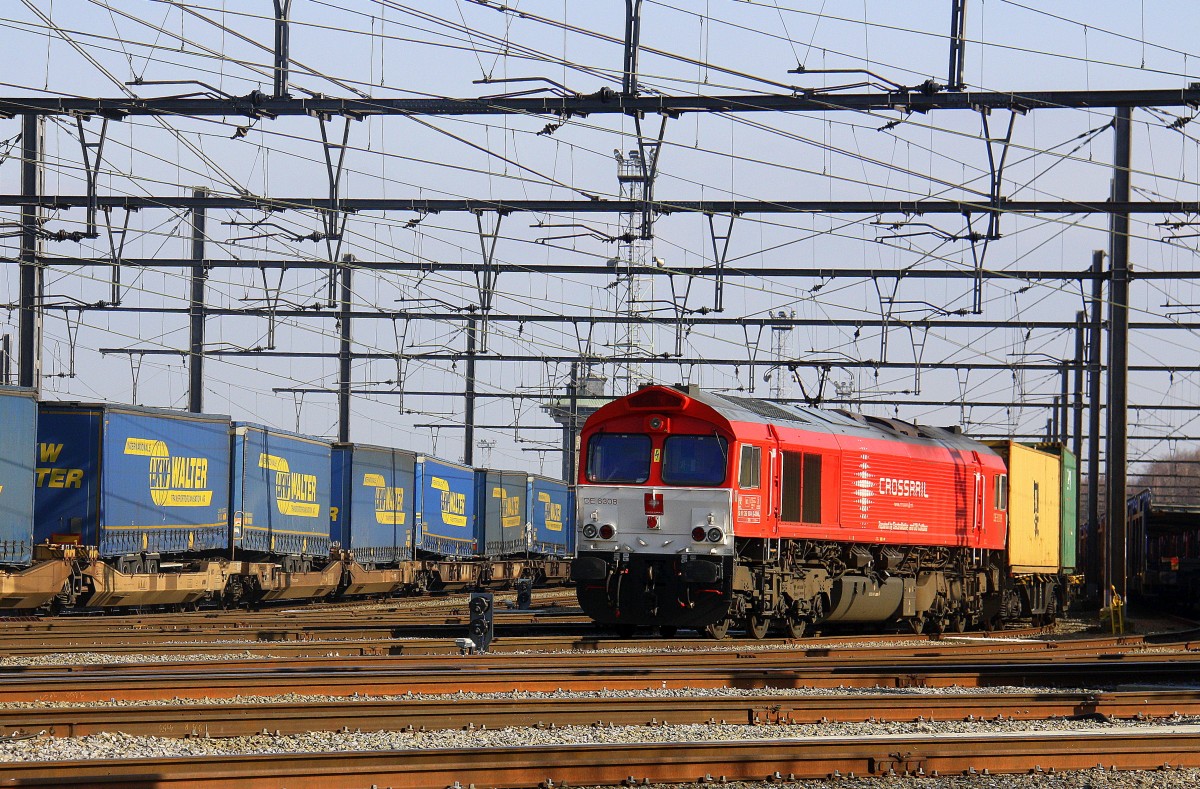 Die Class 66 DE6308  Anja  von Crossrail steht mit einem MSC-Containerzug aus  Weil am Rhein(D) nach  Antwerpen-Berendrecht(B).
Aufgenommen in Montzen-Gare(B).  
Bei schönem Sonnenschein am Nachmittag vom 13.3.2016. 