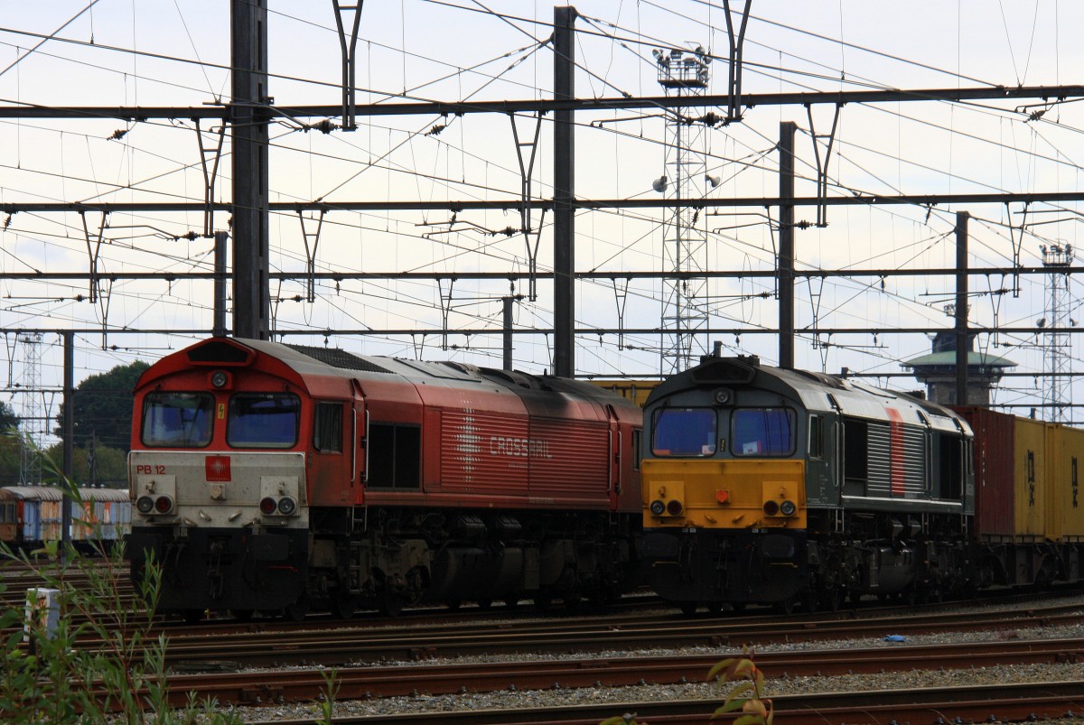Die Class 66 PB12  Marleen  von Crossrail steht mit einem langen MSC-Containerzug und da neben steht die Class 66 DE6309 von DLC Railways steht mit einem langen MSC-Containerzug in Montzen-Gare(B) bei Wolken am 13.10.2013.