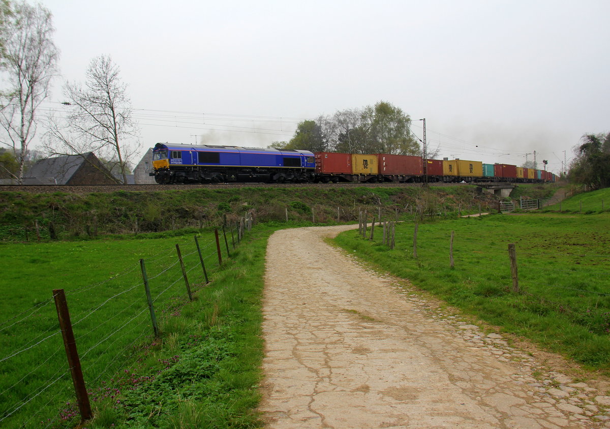 Die Class 66 PB13 von Beacon-Rail kommt mit viel Dieselpower die Gemmenicher-Rampe hochgefahren aus Richtung Aachen-West mit einem langen MSC-Containerzug aus Germersheim(D) nach Antwerpen-Krommenhoek(B) und fährt gleich in den Gemmenicher-Tunnel hinein. 
Aufgenommen von einem Weg in Reinartzkehl. 
Am Nachmittag vom 9.4.2019.