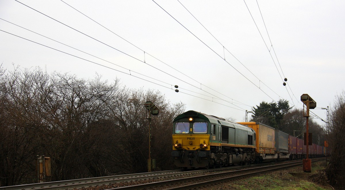 Die Class 66 PB20 von Railtraxx BVBA kommt mit viel Dieselpower die Gemmenicher-Rampe hochgefahren aus Richtung Aachen-West in Richtung Montzen/Belgien mit einem langen KLV-Containerzug aus Frankfurt-Höchstadt am Main(D) nach Genk-Goederen(B). 
Aufgenommen an der Montzenroute am Gemmenicher-Weg. 
Bei Sonne und Wolken am Nachmittag vom 20.12.2015.