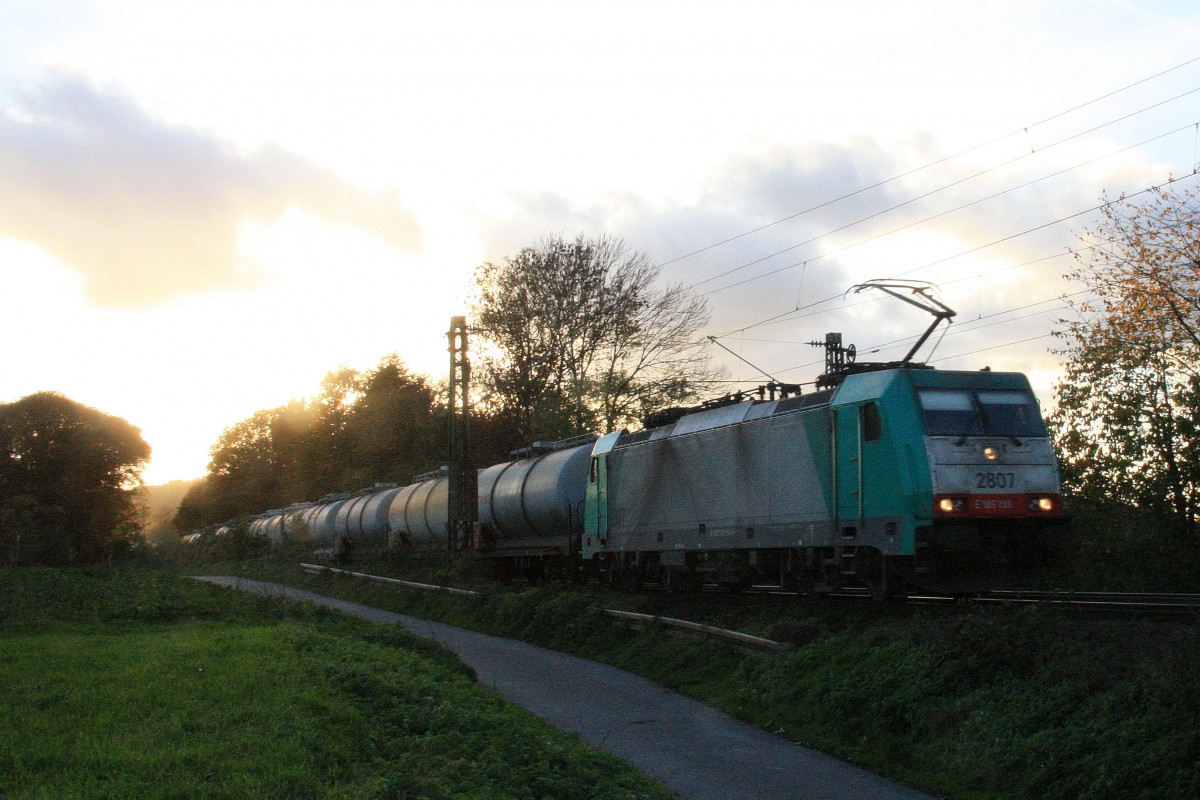 Die Cobra 2807 kommt die Gemmenicher-Rampe herunter nach Aachen-West mit einem Kurzen Kesselzug aus Antwerpen-Kanaaldok(B) nach Millingen.
Aufgenommen an der Montzenroute am Gemmenicher-Weg in der Abendsonne und Wolken am Abend vom 30.10.2013.